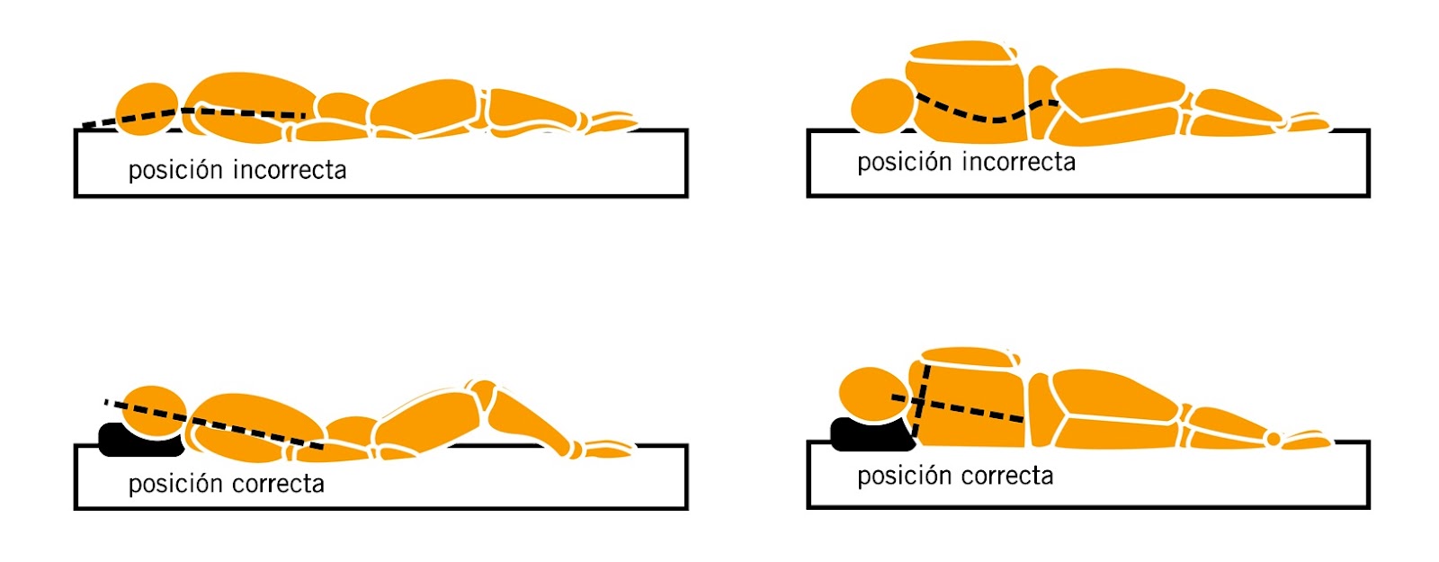postura correcta para una espalda sana