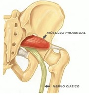 estiramientos para el síndrome piramidal
