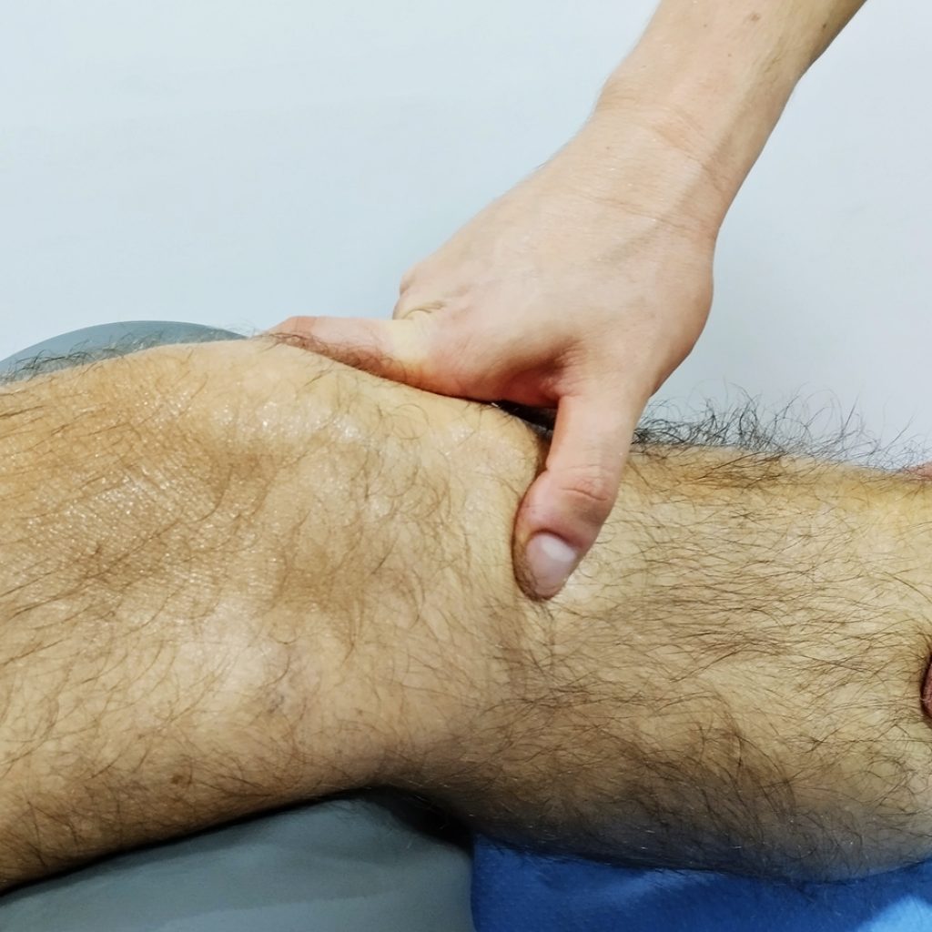 pata de ganso