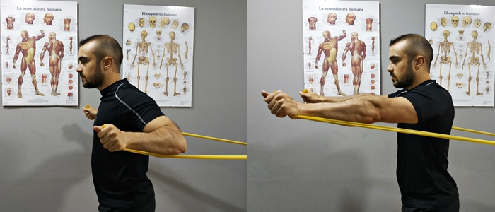 ejercicios preventivos para el tronco superior